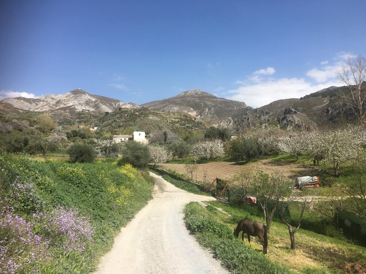 Hotel Rural Fuente La Teja Guejar-Sierra Εξωτερικό φωτογραφία