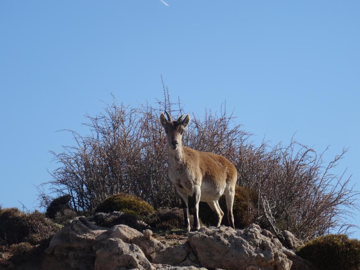 Hotel Rural Fuente La Teja Guejar-Sierra Εξωτερικό φωτογραφία